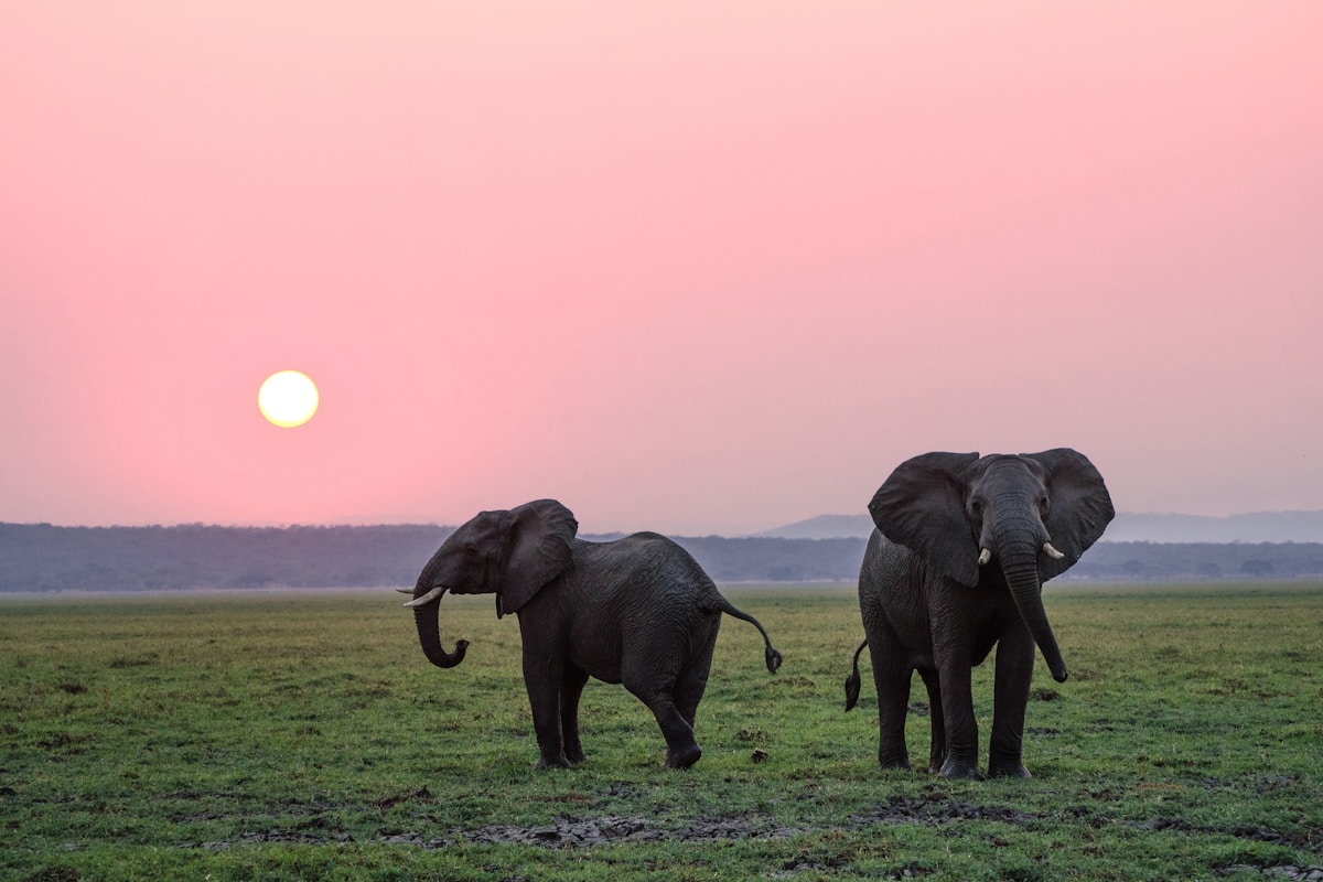Family tours in Sri Lanka