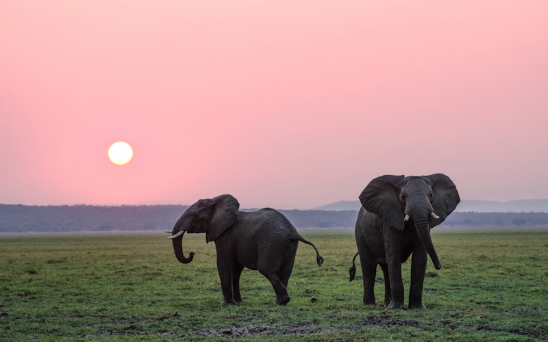 Sri Lanka with Kids: A Family Travel Guide
