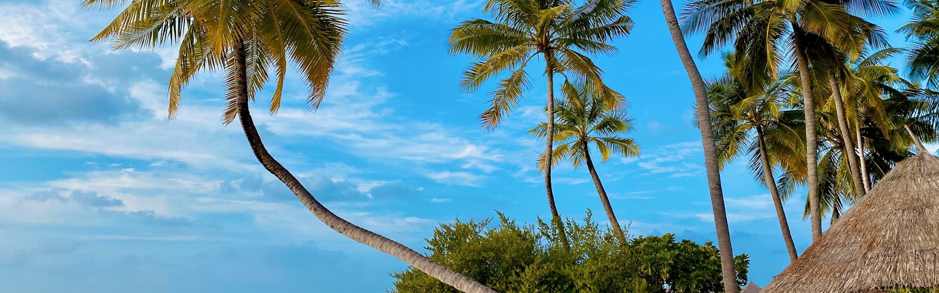 Sri Lanka coastline